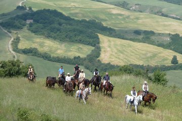Horseback riding