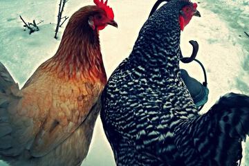 Hotel Interior 23 of 87