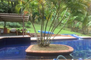 Photo 42