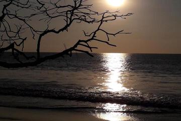 Photo 48