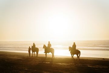 Horseback riding