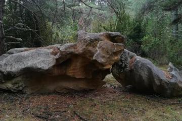 Photo 40