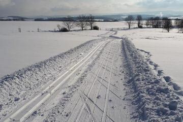 Photo 38