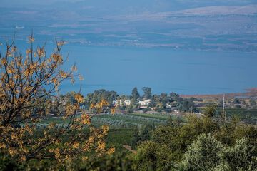 Lake view