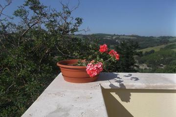 Photo 37