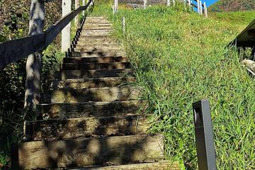 Photo 32