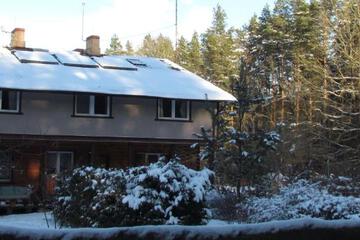 Photo 51
