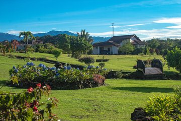 Land view from property
