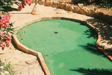 Mini-golf