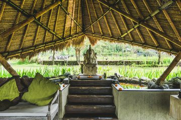 Spa reception