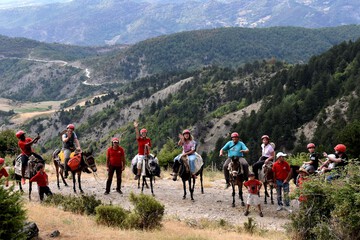 Ecotours
