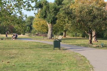 Photo 22
