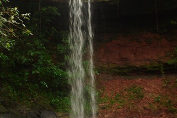 Hiking