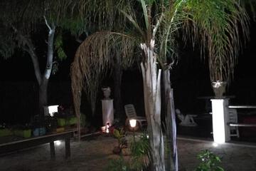 Photo 37