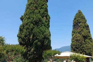 Photo 27