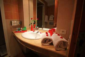 Bathroom sink