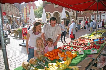 Land view from property