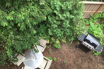 BBQ/picnic area