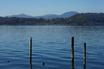 Lake