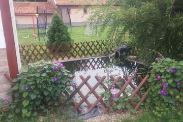 Photo 71