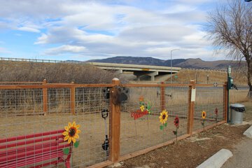 Pet-friendly amenities