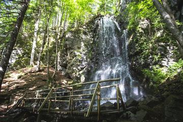 Hiking