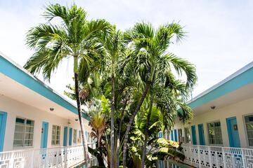 Courtyard