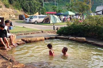 Natural pool