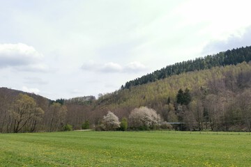 Land view from property