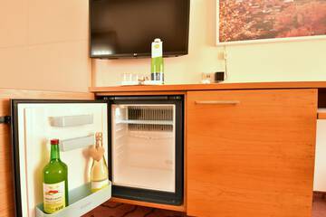 Mini-refrigerator