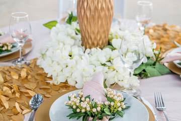 Outdoor wedding area