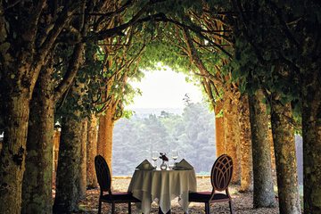 Couples dining
