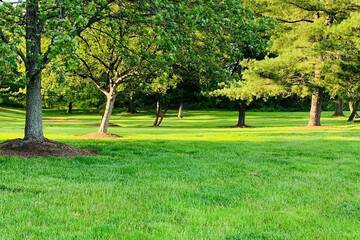 Outdoor banquet area