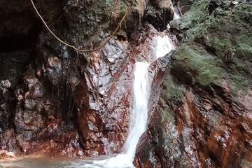Ecotours