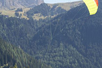 Ecotours