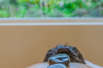 Spa treatment