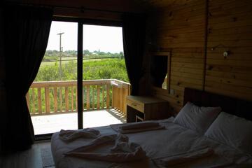 Photo 42