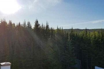 Photo 33