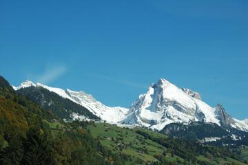 Photo 40
