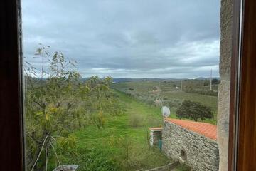 Photo 61