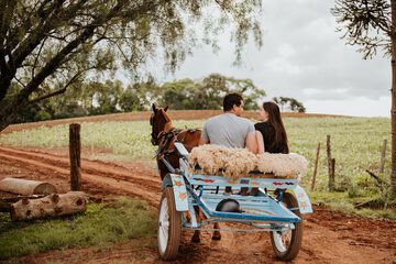 Ecotours