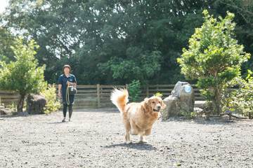 Pet-friendly amenities