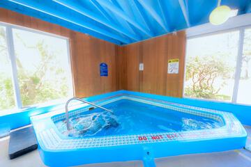 Indoor spa tub