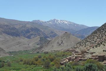 Photo 27