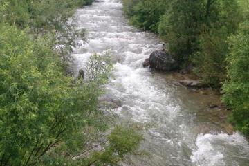 Photo 47