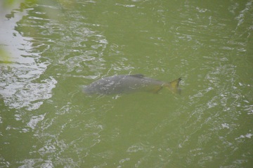 Fishing