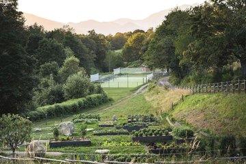 Tennis court
