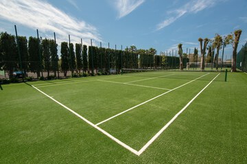 Tennis court