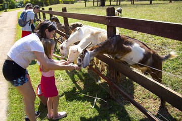 Children's activities