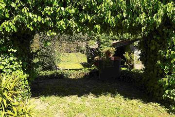 Photo 60